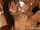 squirting asian