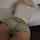 What's the name of this porn actor?