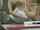What's the name of this porn actor?