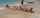 babes beach tiny