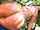 white girl anal bangbros