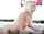 What's the name of this porn actor?