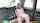 faketaxi fake blonde