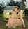 Maryelle Tillie