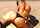 What's the name of this porn actor?