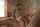 What's the name of this porn actor?
