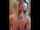 Pornstar name and Video link. Please?