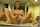 ftv teen teens