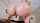 What's the name of this porn actor?