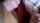 What's the name of this porn actor?
