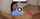 who is that