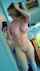 What's the name of this porn actor?