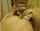 What's the name of this porn actor?