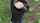 public publicagent