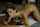 digital playground