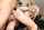 blond anal blonde