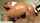 What's the name of this porn actor?