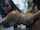 ebony webcam amateur