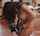 What's the name of this porn actor?