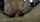 pov rocco siffredi