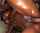 black bangbros