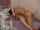 teen