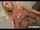 What's the name of this porn actor?