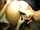 fingering ads lesbian