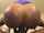 big tits big ass