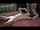 what video is this?