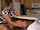 milf kitchen handjob