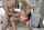 bangbros sexual