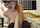 myfreecams camgirl asian