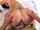bangbros pov