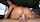 What's the name of this porn actor?
