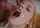 What's the name of this porn actor?