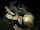 blowjob gloryhole swallow