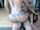 chaturbate anal