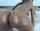 What's the name of this porn actor?