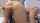 camgirl blonde chaturbate