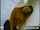 teen blonde