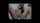 What's the name of this porn actor?