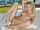 What's the name of this porn actor?