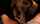 What's the name of this porn actor?