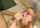 facial schoolgirl squirting
