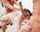 teamskeet desi