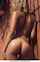 What's the name of this porn actor?