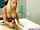 What's the name of this porn actor?