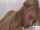 Who is she?)