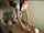 petite handjob teen